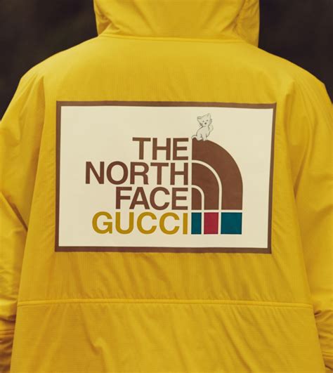 nkrth face gucci|Gucci north face shop.